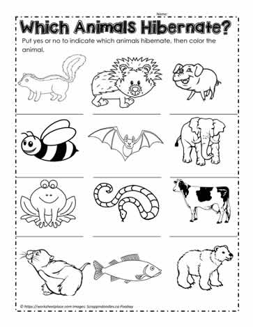 Animals That Hibernate Worksheets