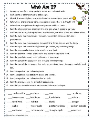 Biome Riddles Ecosystem Riddles Worksheets