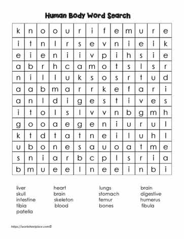 Word Search Puzzle for the Human Body
