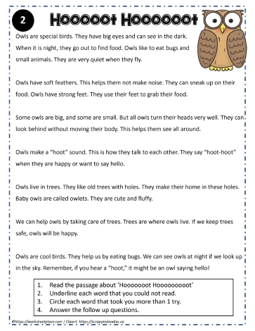Reading Comprehension About Owls