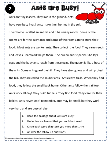 Reading Comprehension About Ants
