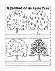 An Apple Tree in 4 Seasons