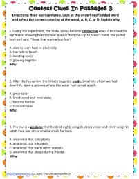 4th Grade Context Clues Worksheets