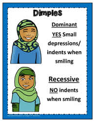 Dominant and Recessive Poster 2