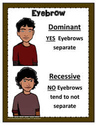 Dominant and Recessive Poster 4