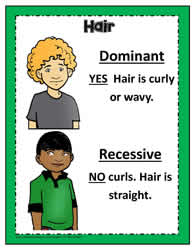 Dominant and Recessive Poster 6