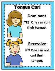 Dominant and Recessive Poster 7