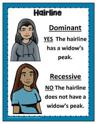 Dominant and Recessive Poster 8