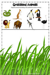 Animal Grassland Google App