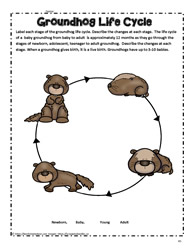 Groundhog Life Cycle 2