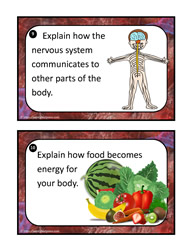 Human Body Task Cards 9-10