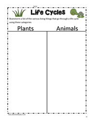 Life Cycle Plants and Animals