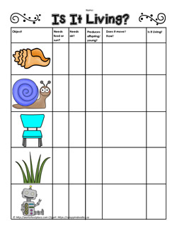 Living and Non Living Things Worksheets