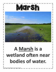 Poster of Marsh