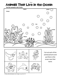 Ocean Animals Worksheet