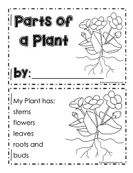 My Parts of a Plant Booklet
