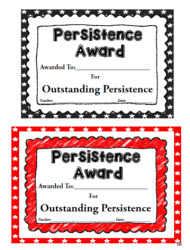 Persistence Award