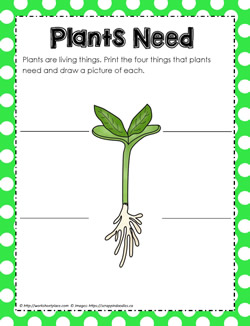 Plants Need