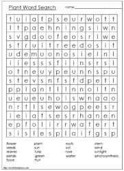 Plant Word Search