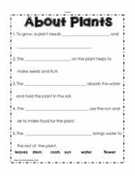 Plant Worksheet