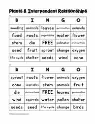 Plant Bingo 11-12