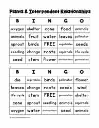Plant Bingo 15-16 