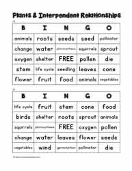 Plant Bingo 19-20