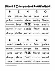 Plant Bingo 9-10