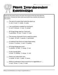 Parts of a Plant Printables Worksheets