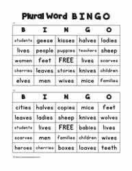 Plural Word Bingo 11-12