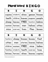 Plural Word Bingo 21-22
