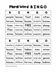 Plural Word Bingo 23-24