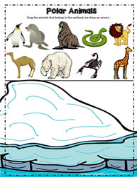 Polar Animals Google App