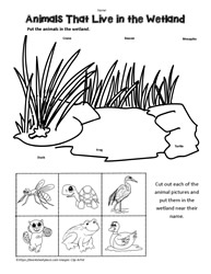 Wetland Animals Worksheet