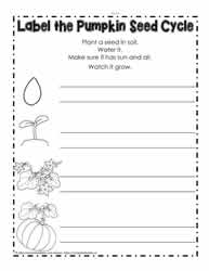 Label the Pumpkin Seed Cycle