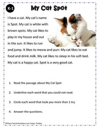 Reading Comprehension K-1 Cats