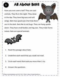 Reading Comprehension About Bats