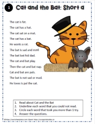 Reading Comprehension About A Cat and a Bat