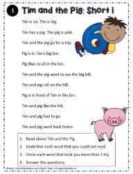 Reading Comprehension About Tim and the Pig