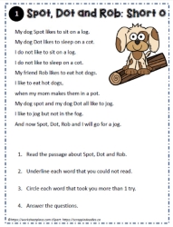 Reading Comprehension About Spot, Dot and Rob