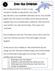 Reading Comprehension Dan the Dolphin