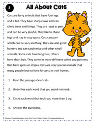 Reading Comprehension About Cats 