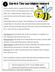 Reading Comprehension About Bees