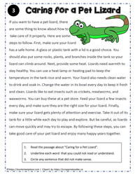 Reading Comprehension About A Pet Lizard