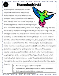 Reading Comprehension About Hummingbirds