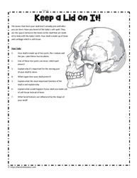 Skeletal System Skull Activity