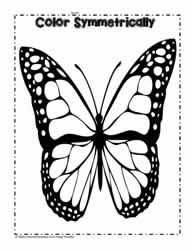 Color the Butterfly Symmetrically