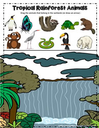 Tropical Rainforest Animals Google App