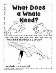 Animal Book for Whale Needs